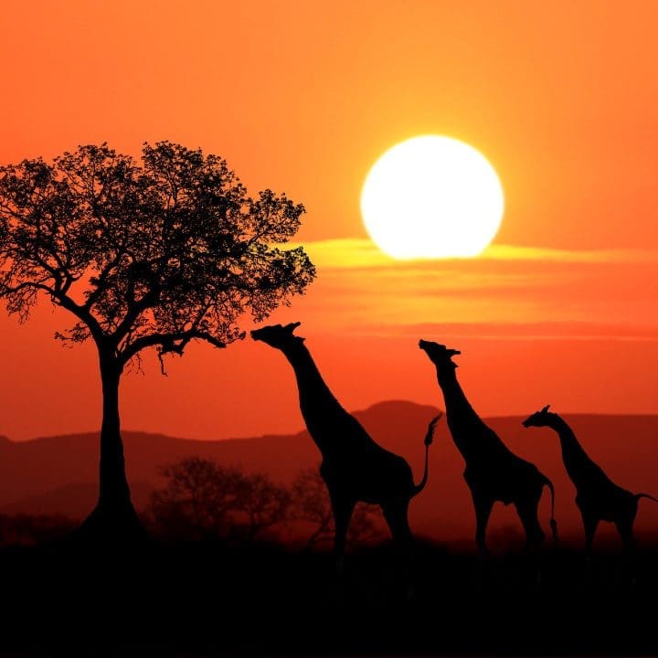 Kenya