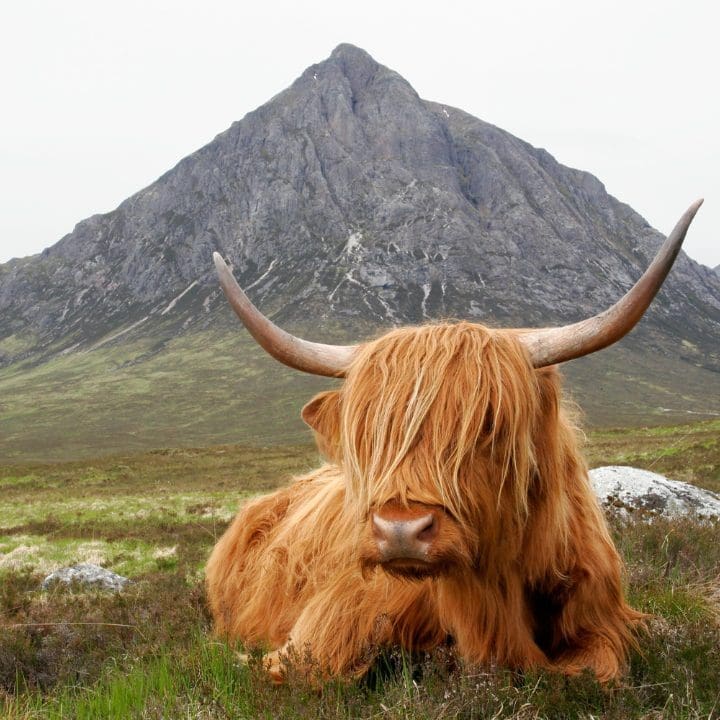 Scotland